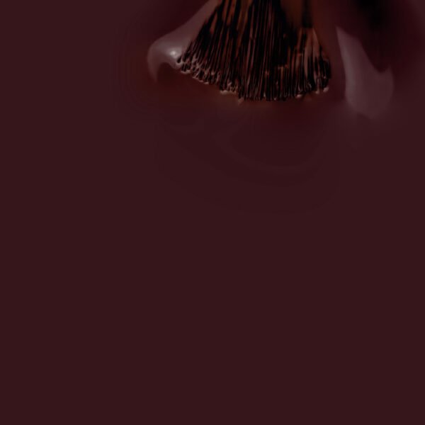 VERNIZ GEL BRIGADEIRO - Image 2