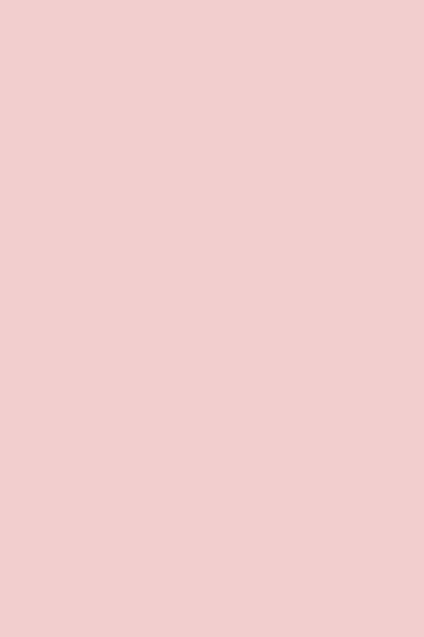 POWER BASE COVER PINK ANDREIA - Image 2