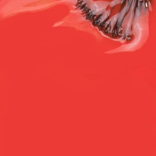 Like Gel INOCOS 148 Coral Hip Hop - Image 2