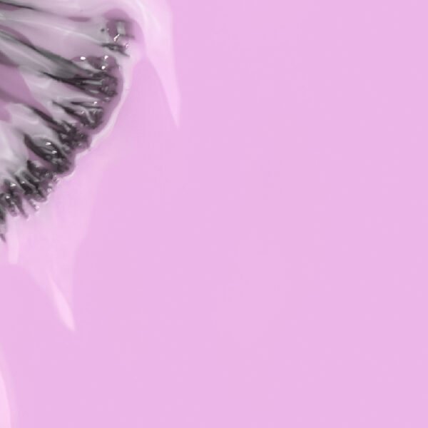 Like Gel INOCOS 169 Violeta Pastel - Image 2